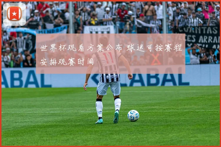 世界杯观看方案公布 球迷可按赛程安排观赛时间