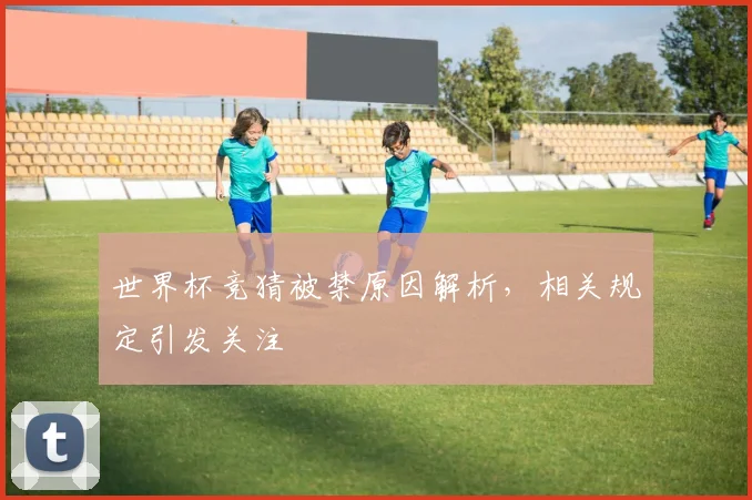 世界杯竞猜被禁原因解析，相关规定引发关注