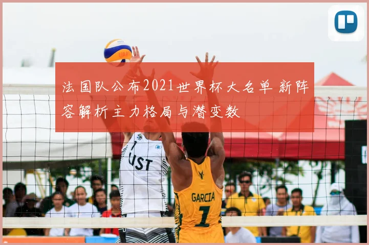 法国队公布2021世界杯大名单 新阵容解析主力格局与潜变数