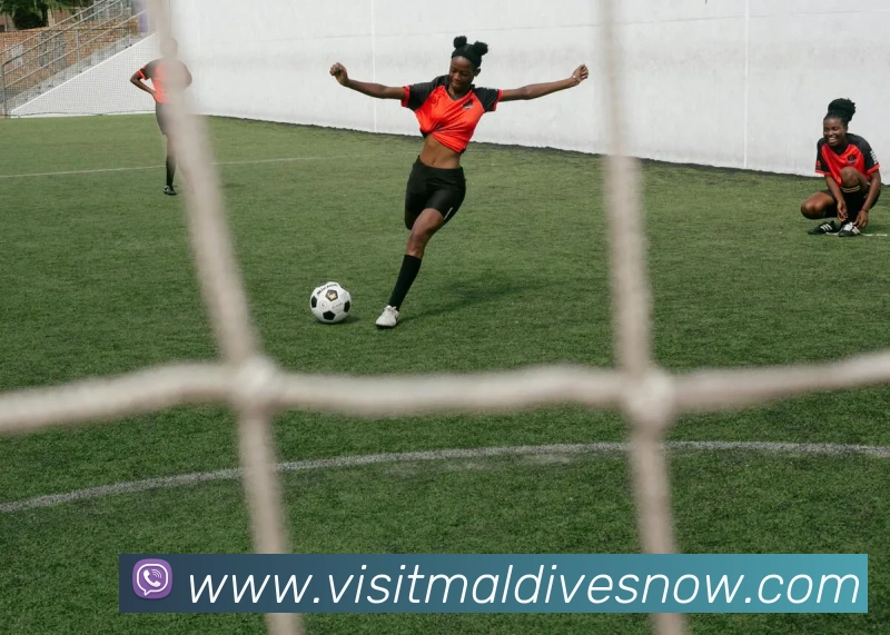 多媒体互动体验