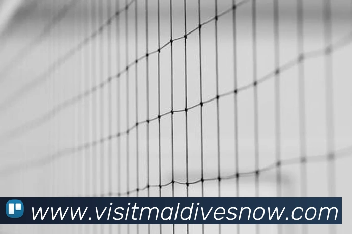 华体网体育官网APP 高清赛事图